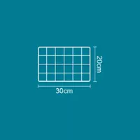 Rose Red 30x20 см. Белая сетка, L-Large