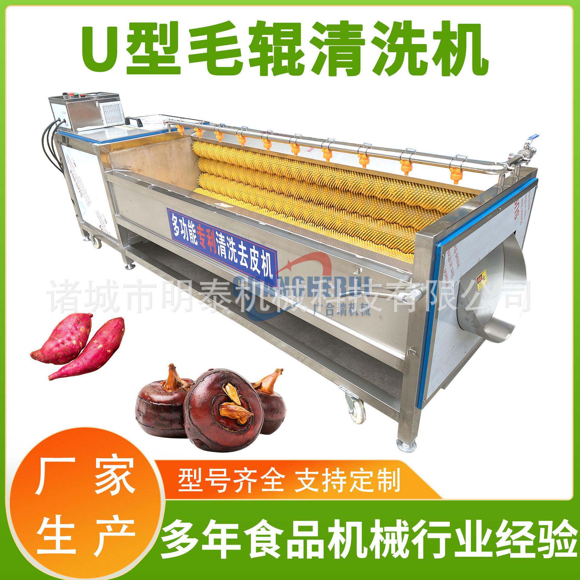 马蹄U型毛辊清洗机小型根茎类蔬菜去皮机马铃薯土豆红薯去泥机