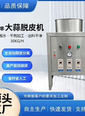 不锈钢小型商用大蒜剥皮机全自动剥蒜去皮机操作简大蒜脱皮机