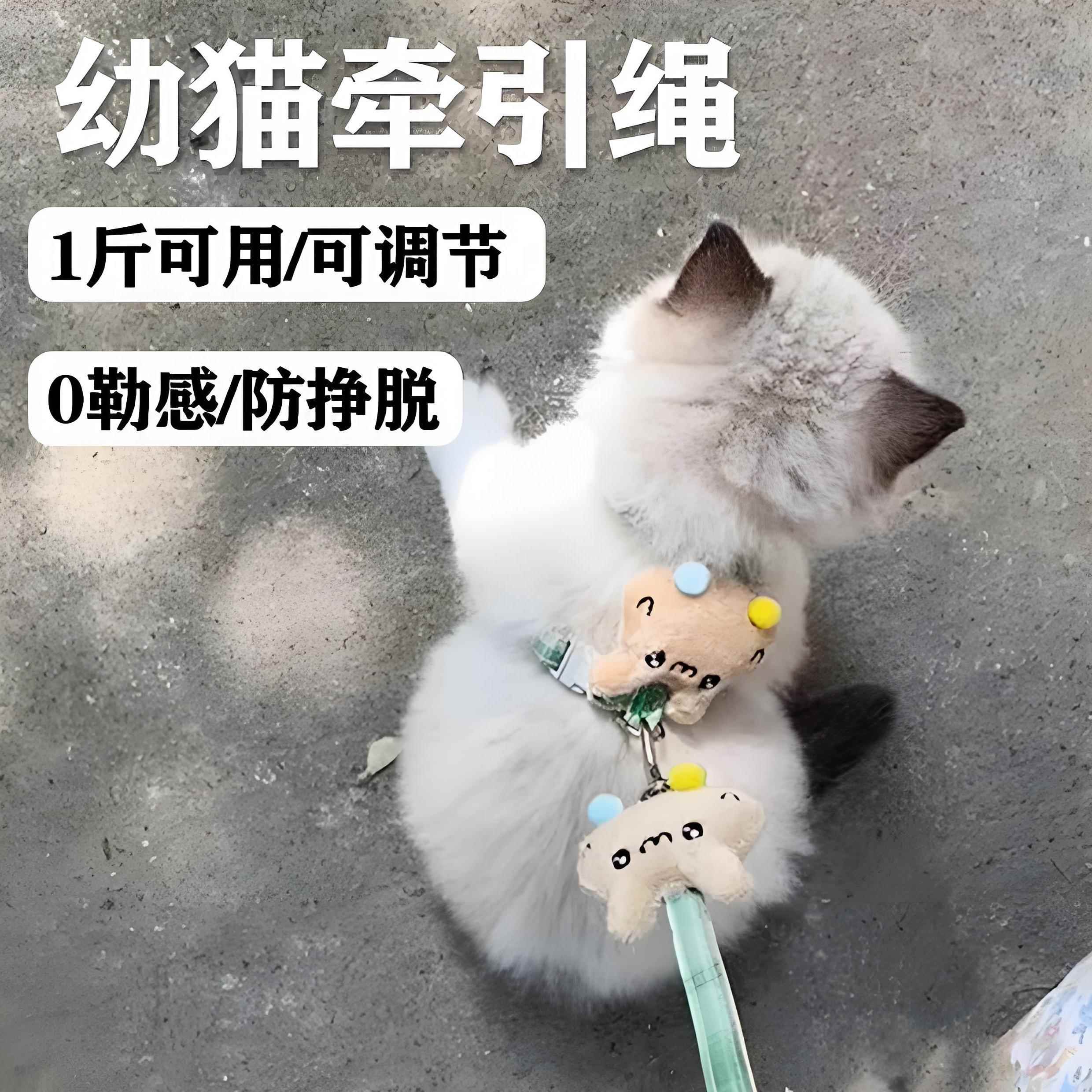遛兔子外出专用牵引绳幼猫猫咪小奶猫超小号