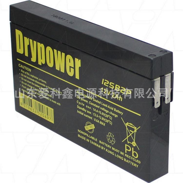 Drypower蓄电池 12SB2P 12V2AH 仪器储能蓄电池