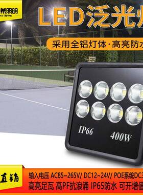 LED100W200W 防雷抗浪涌投光灯 户外工程高亮泛光灯探照灯