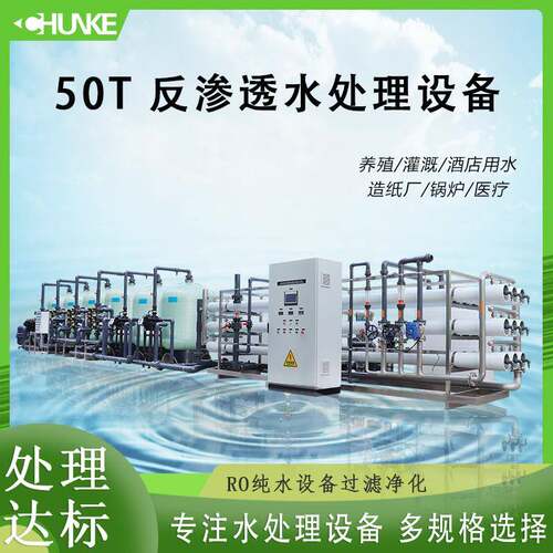 工业50方每小时电厂纯净水设备1200吨每天锅炉用水纯水水处理设备