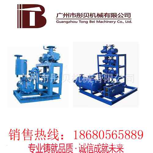 真空泵机组JZJS型罗茨水环真空泵机组JZJ2S30-1
