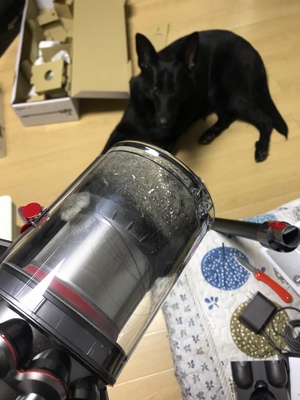 对你有用:戴森V8 Fluffy无线吸尘器怎么样?听说质量真的很烂?