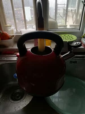 深度讨论格立高GLG-308C电热水壶怎么样，吐槽参数配置怎么样？