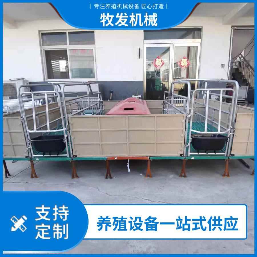 母猪产床复合漏粪板母猪分娩24床米.母仔猪XDF产栏
