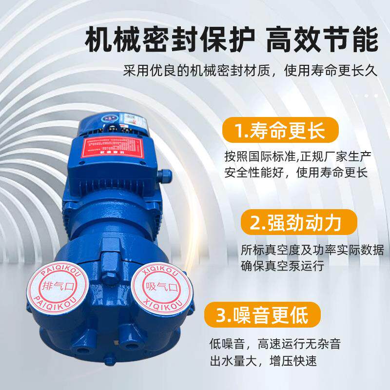 2BV铸铁水环式真空泵一体式泵无油负压机组系统循环水工业真空泵