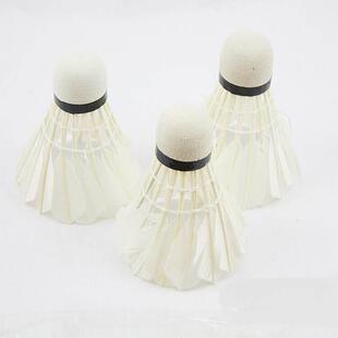 Outdoor 12pcs Sport Ball Shuttlecock lot Badminton