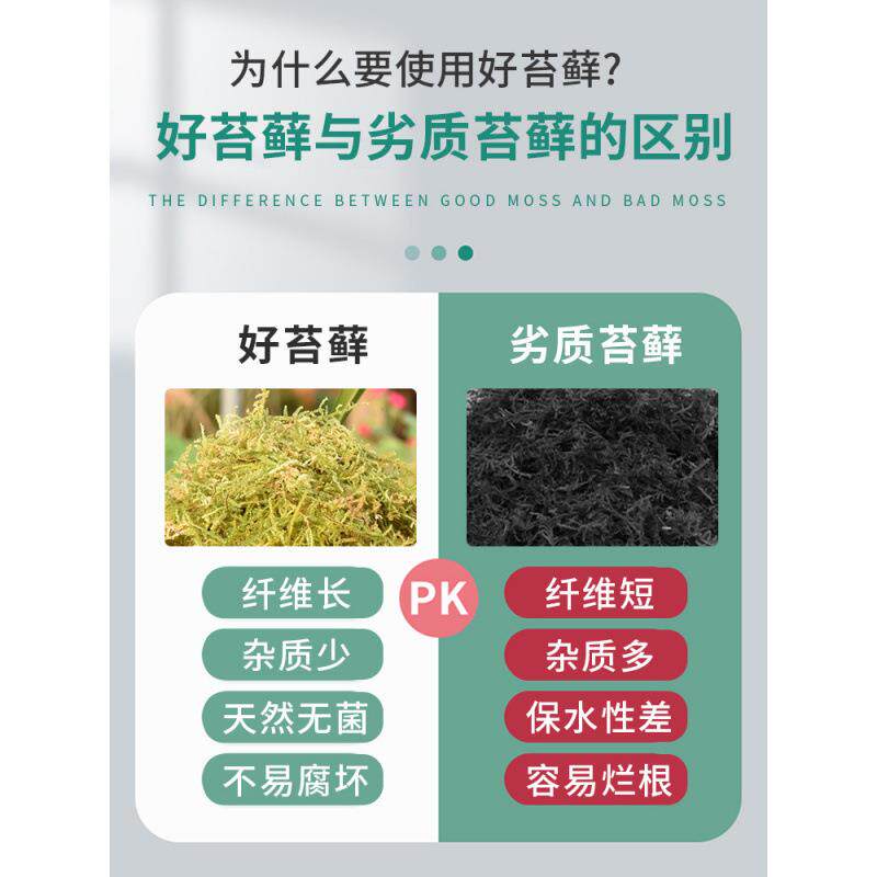 干苔藓水苔蝴蝶兰花专用营养土植物爬宠乌龟冬眠垫材铁皮石斛种植