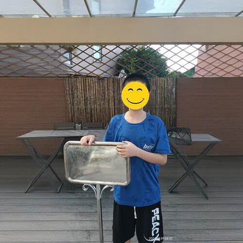 不锈钢花草牌手举牌队路牌提示牌草坪牌农场牌花草牌运动会手举牌