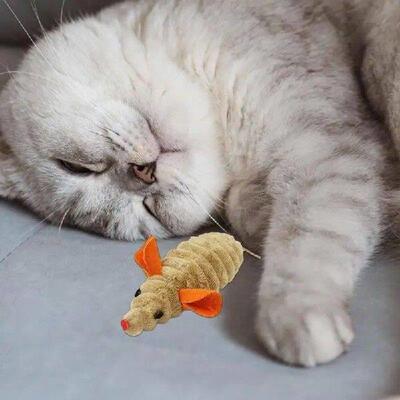 Catnip Kitten Toys Kitten Soft Catnip Teeth Chew Toy Cat