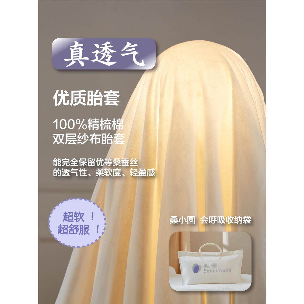 A5L蚕丝被儿童春秋被幼儿园被婴儿被宝宝被子四季被空调被冬被