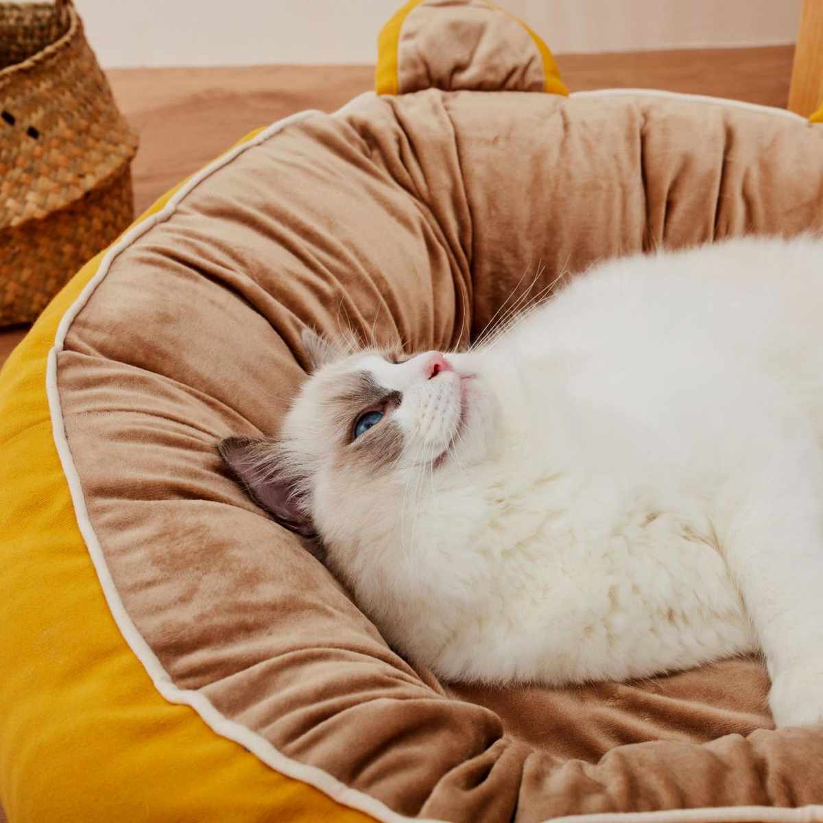 DogTalk宠物深睡猫窝狗窝可拆洗冬季保暖小型犬泰迪比熊狗床垫子