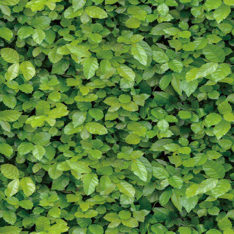 草坪墙壁纸装修店新鲜绿叶壁纸餐厅酒店客厅背景墙贴纸不干胶防水