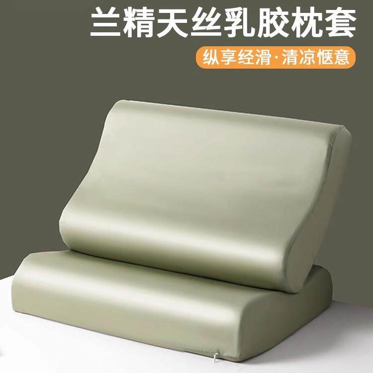夏季轻奢天丝乳胶枕头套一对装丝滑凉感40x60枕芯套护发冰丝枕套