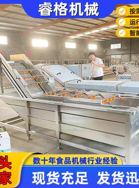不锈钢气泡喷淋清洗机 空心菜龙须菜气泡清洗机 大头菜水浴清洗机