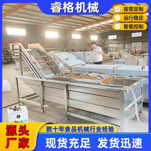 压喷淋式气泡清洗机商用不锈钢果蔬清洗机大枣枸杞毛豆清洗机