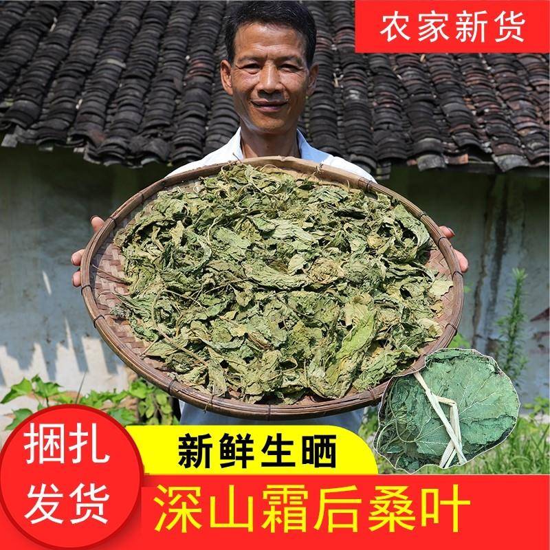 新疆包邮山区干桑叶农家生晒500g农家新鲜晒霜后桑叶干桑树叶桑葚