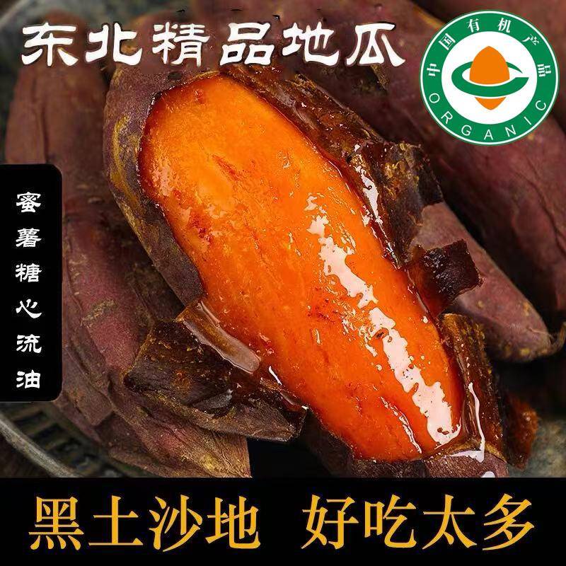 【有机】东北瓦房店地瓜新鲜农家蜜薯糖心红薯烟薯25沙地超甜10斤
