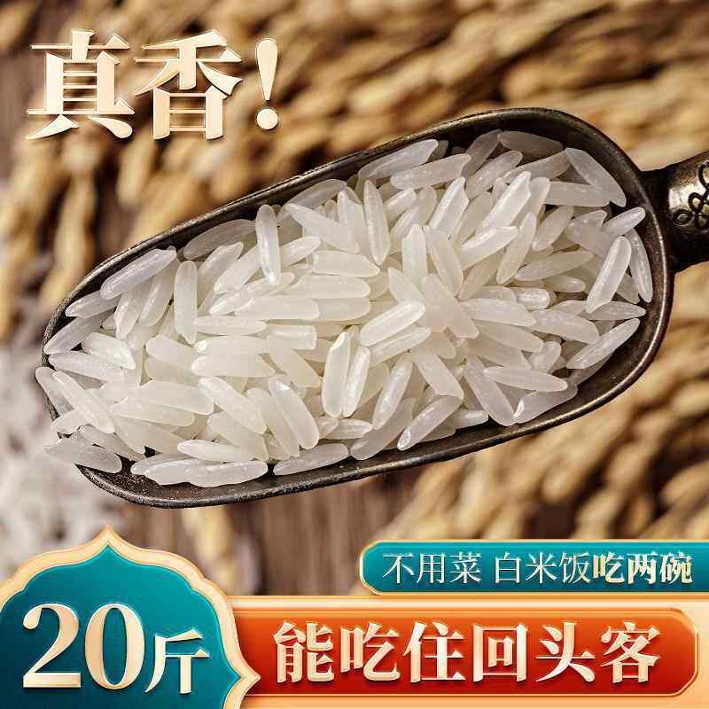 【促销价】当季新米香甜软煮粥5斤猫牙米20斤炒饭丝苗米超长粒