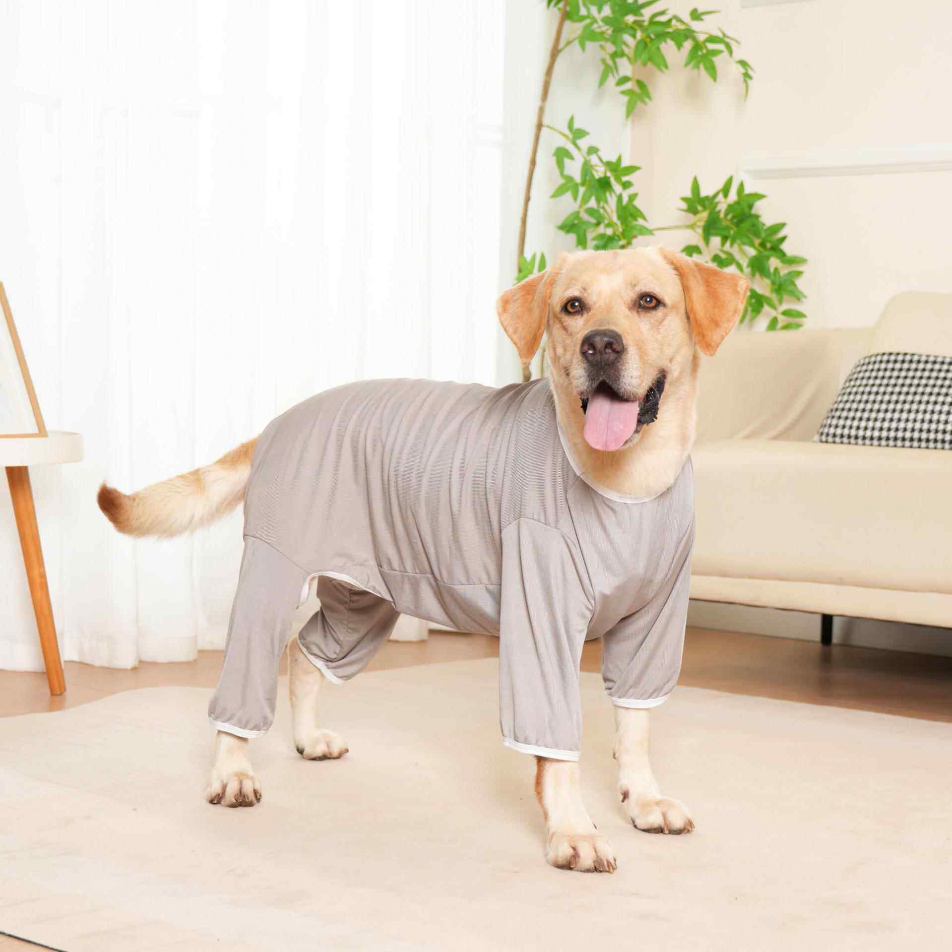 四季狗狗弹性四脚衣防脏防掉毛剃毛护理睡衣柴犬拉布拉多金毛