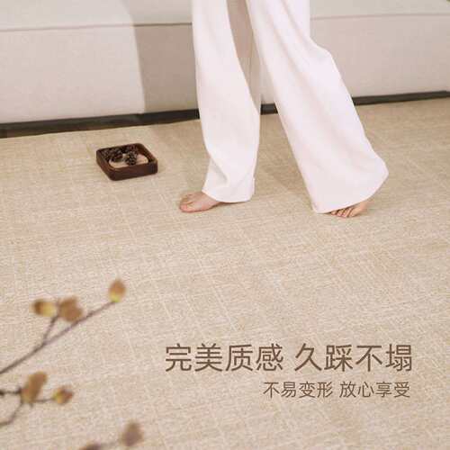 地毯客厅2025新款免洗可擦中古风卧室家用沙发茶几地垫防水防污厚