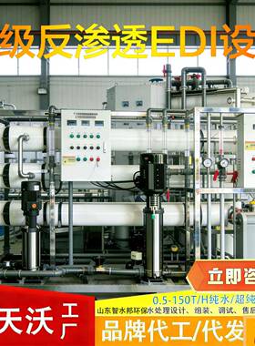 EDI超纯水设备全自动反渗透设备食品制电子厂适用超纯水设备