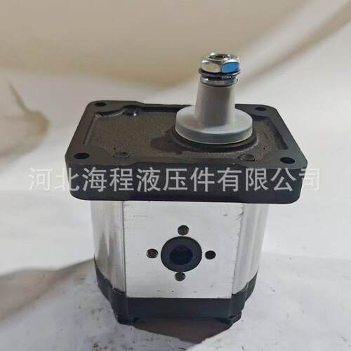 A18X 齿轮泵 菲亚特 麦赛福格森配套液压泵