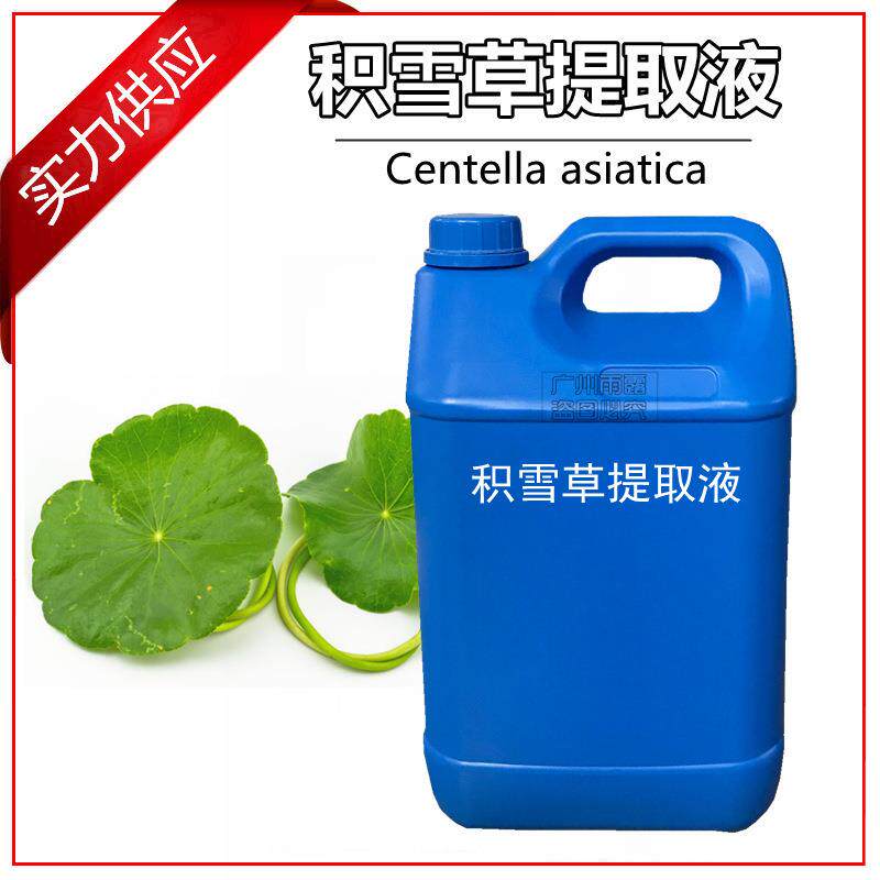 积雪草提取液天然植物雷公根提取液萃取液