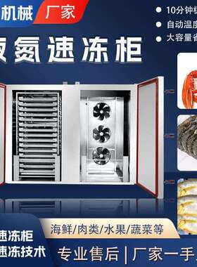 果蔬食品海鲜液氮速冻机 生产饺子液氮速冻柜 水饺小型急冻设备