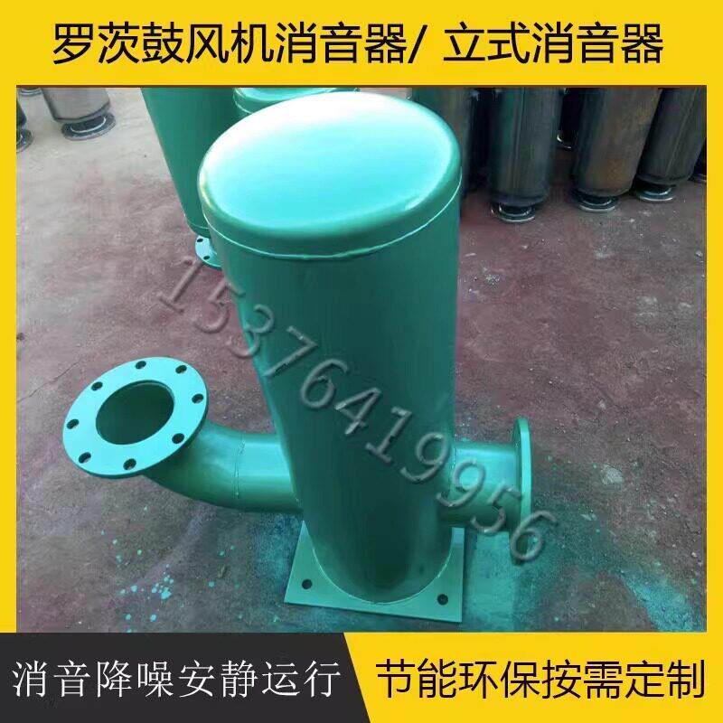 三叶罗茨鼓风机配件厂家自产自销 DN80 立式 卧式 进出口消音器