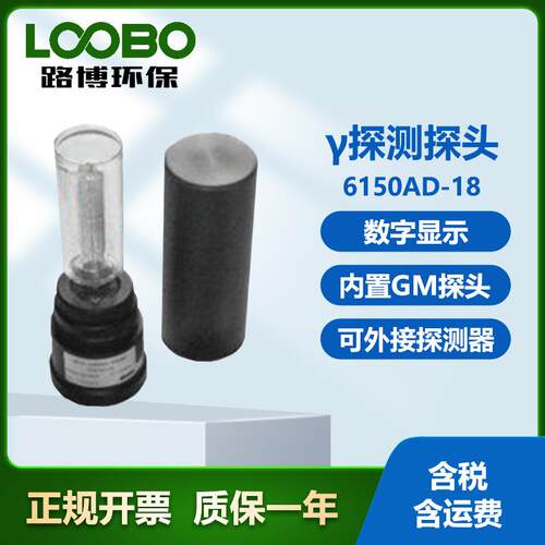 德国AUTOMESS6150AD-18γ探测探头可以连接外部探头剂量率仪