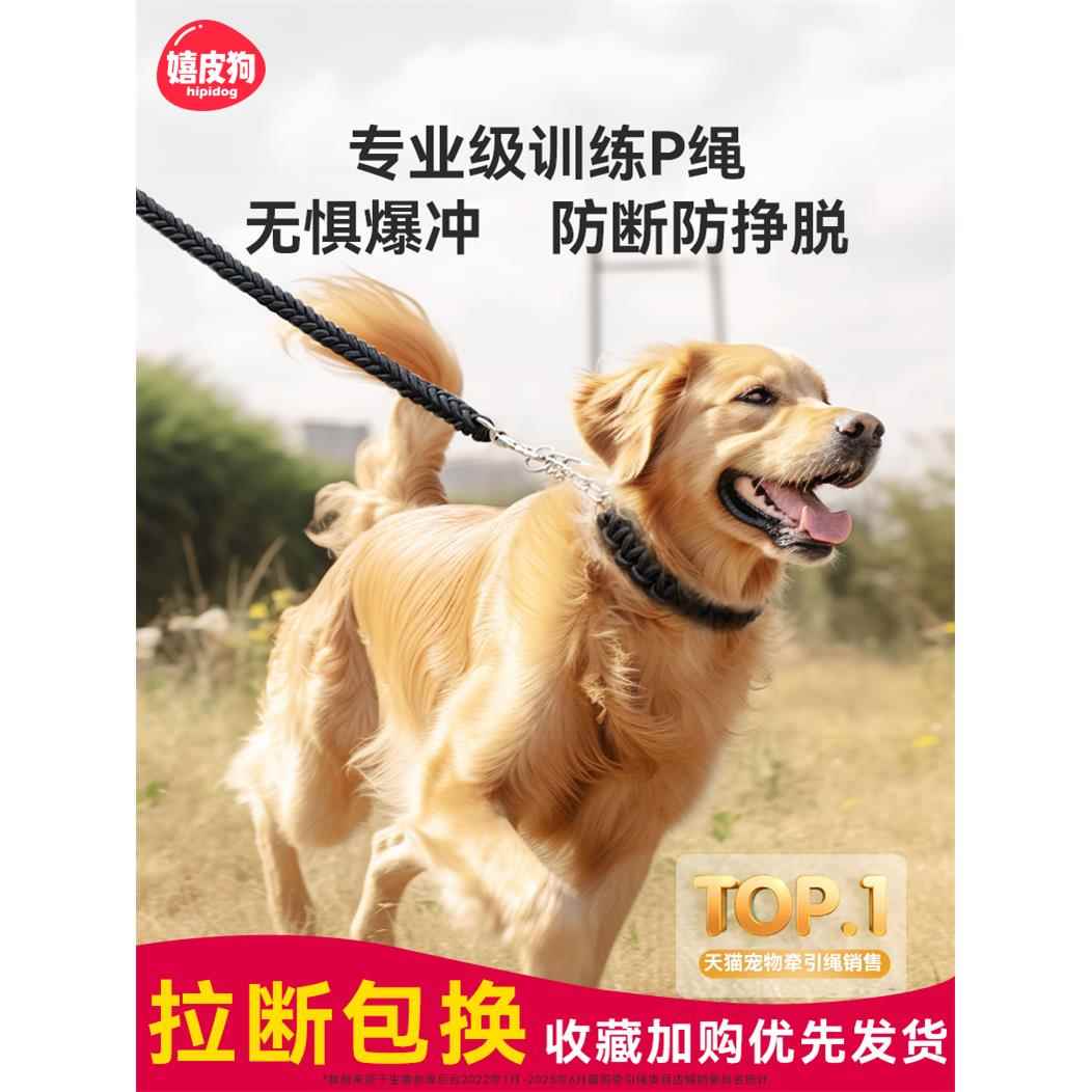 狗牵引绳防咬脖套狗狗中型大型犬金毛狗绳子