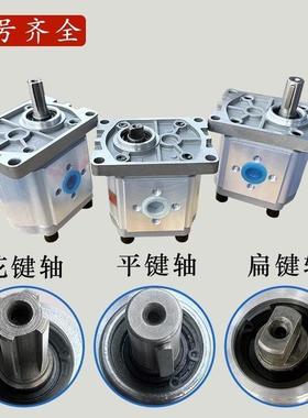 液压齿轮泵油泵总成CBN-F304/306/310/314/316/320/325小高压泵头