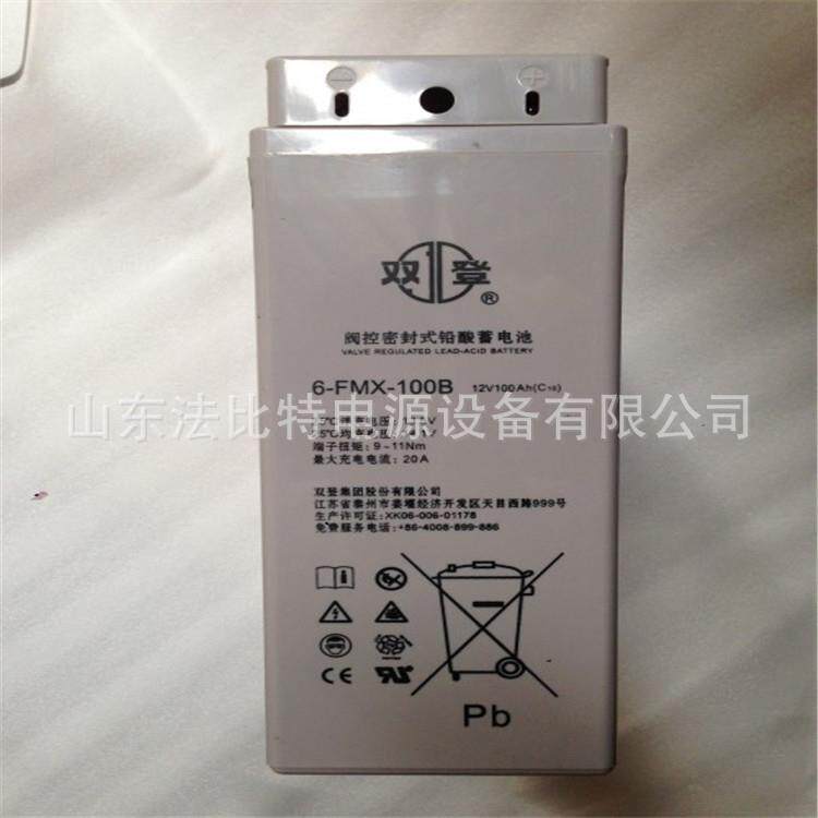 双登狭长蓄电池6-FMX-100B/12V100AH通讯基站/狭长6-FMX-100B