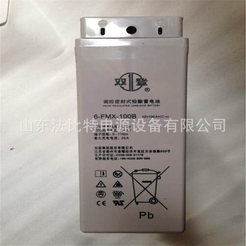 双登狭长蓄电池6-FMX-100B/12V100AH通讯基站/狭长6-FMX-100B