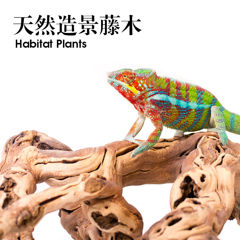 爬宠饲养箱造景藤木雨林水陆缸生态藤条藤蔓爬虫蜥蜴蛇箱景观素材