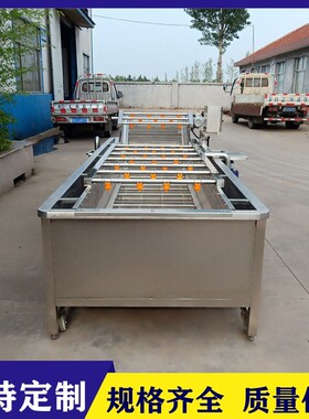 全自动水果蔬气泡清洗机菠菜西红柿清洗设备叶菜类气泡清洗线