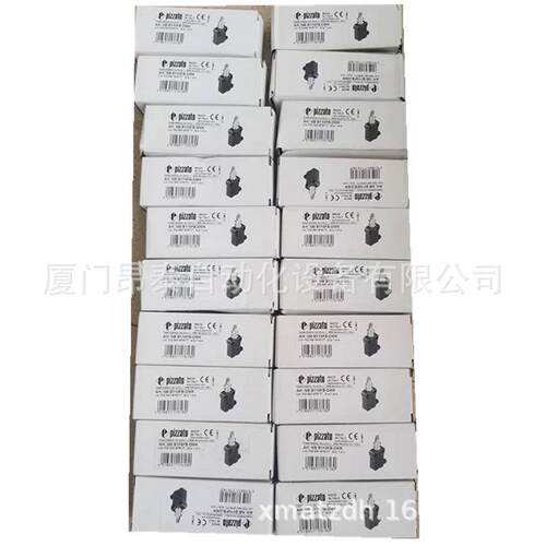 NG  21E4T31A-F31 意D大利NG 2D1E4PIZZAO皮扎特安全模块 优惠