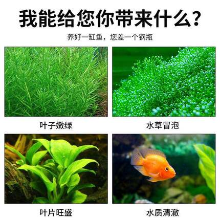 源头工厂灭火器304不锈钢瓶2l4L空罐灭火器筒体量大可定