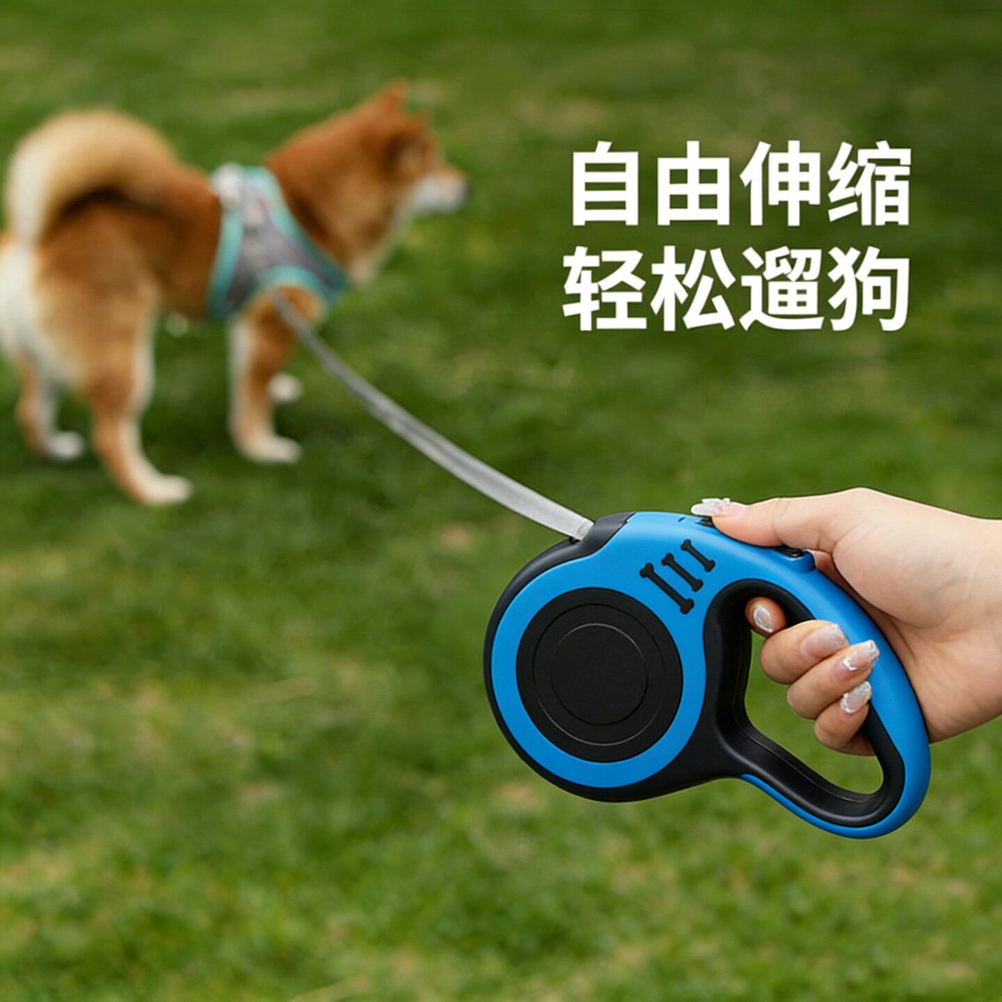 自动伸缩防挣脱中小型犬牵引绳