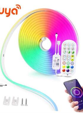 12V LED Strip Neon Lights Tuya Smart Life WiFi Bluetooth RGB