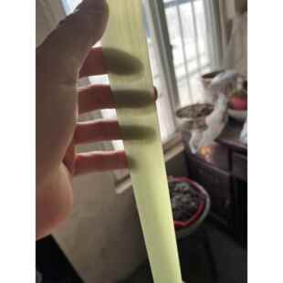 玻片反曲弓片梢把分体明梢汉梢清梢