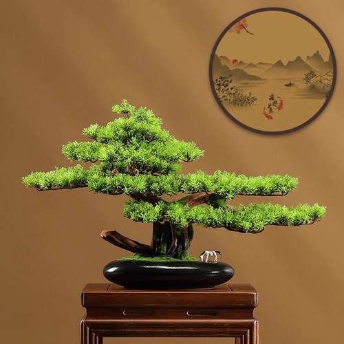 仿关真植物摆件黑YA松盆松室景绿植迎客罗汉松办公玄松针客厅摆件