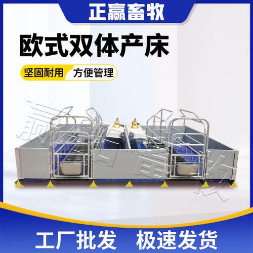 欧式体母猪产床分娩母猪热镀锌母猪欧式产床双体母猪床养殖设备