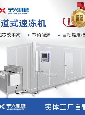 商用隧道式速冻机 蔬菜水果海鲜产品的冷冻 鸡鸭鹅肉类的冷冻机