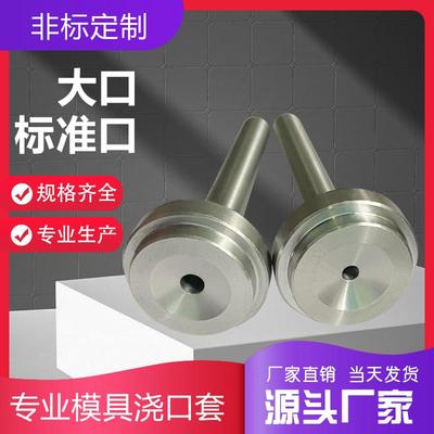 模具浙标B型浇口套大孔唧嘴料嘴进料口810 12 14 16