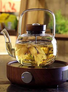 宜龙电陶炉茶炉家用小型静音煮茶器铁壶银壶铜壶不挑壶烧水炉