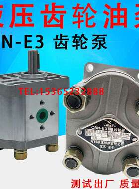 WANKE万科 CBN-E310 E316 E314 E320 E325 F306 E304液压齿轮油泵